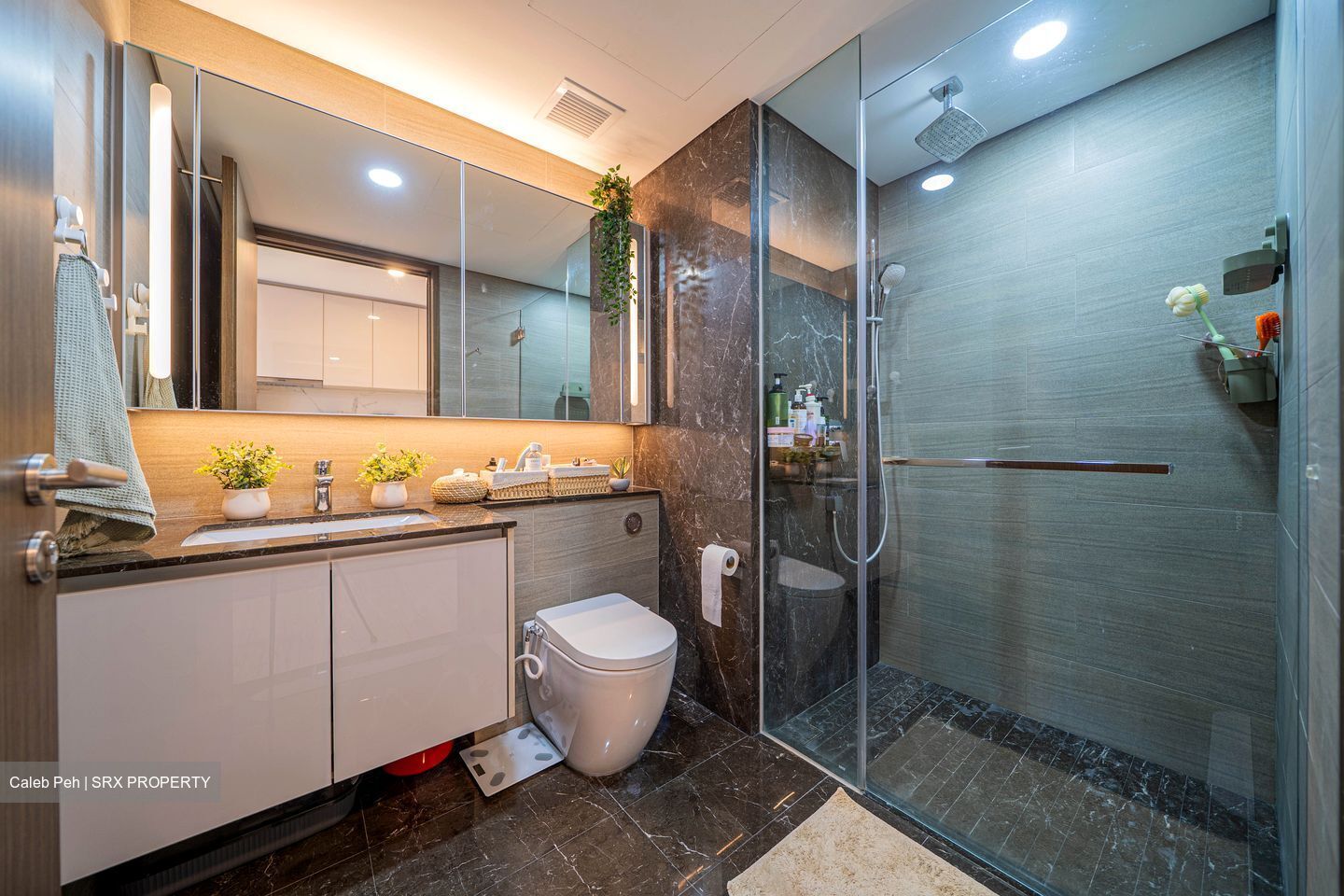 Parc Esta (D14), Apartment #504488771